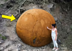 Woman Finds Mysterious Ball in the Woods, Experts Turn Pale When They Realize What It Is