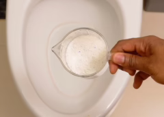 She Poured This Powder Into Her Toilet… And What Happened Next Left Her Speechless